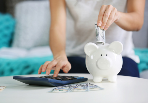 Budget E Risparmio Salvadanaio Calcolatrice
